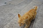 DSC00056