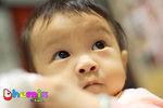 JL9M3205_P_R