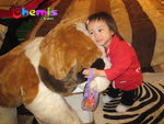 IMG_1117_R