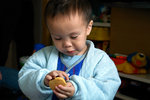 Allen likes Cookie
