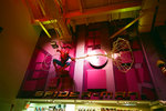 
Spiderman in here~