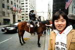 
Horse and Police