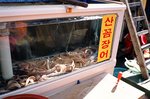 
Ja Gal-Chi Market 3-Gom jang ou~!!