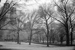 DSC01817