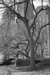 DSC01819