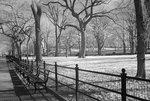 DSC01850