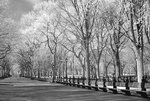 DSC01852
