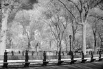 DSC01853