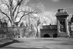 DSC01855