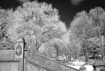 DSC01858