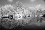 DSC01859