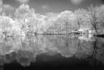 DSC01860