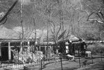 DSC01862