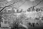DSC01879