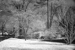 DSC01882
