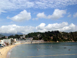 DSC00768