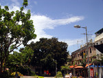 DSC00791