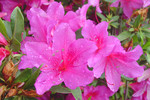 DSC03629