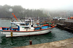 DSC03718