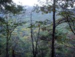 
view in the 북한산(Mt.BukHan) 