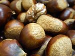 
new chestnut2