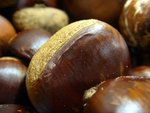 
New chestnut3
