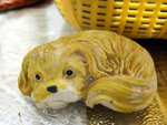 
Puppy (magnet)