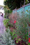 DSC04324
