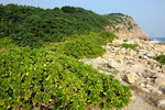 DSC04335