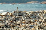 DSC04336