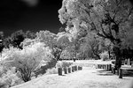 DSC01380
