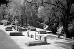 DSC01381
