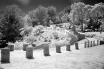 DSC01383