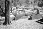 DSC01386