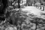 DSC01389