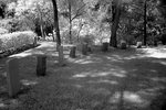 DSC01391