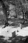 DSC01395