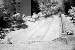 DSC01406