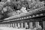 DSC01409