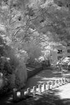 DSC01414