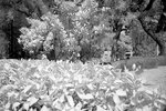 DSC01416