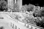 DSC01419