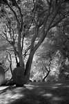 DSC01420