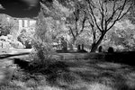 DSC01422