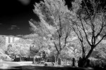 DSC01426