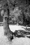 DSC01431