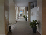 DSC07688