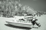 DSC03192