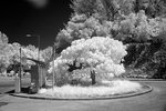 DSC01358