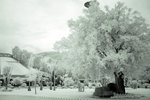 DSC03391